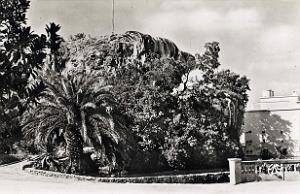 Hammam bou hadjar 526- Le Rocher COLLECTION DES AMIS DE ND DE SANTA CRUZ